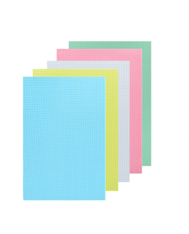 FICHE BRISTOL GRAND FORMAT 5 COULEURS SELECTA FICHE BRISTOL GRAND FORMAT 5 COULEURS SELECTA