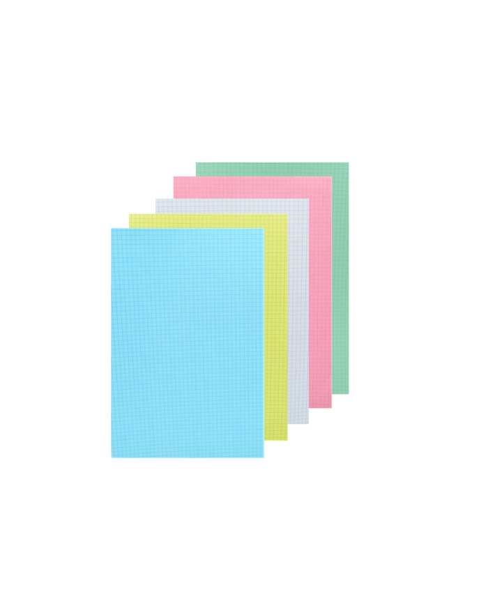 FICHE BRISTOL GRAND FORMAT 5 COULEURS SELECTA FICHE BRISTOL GRAND FORMAT 5 COULEURS SELECTA