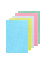 FICHE BRISTOL GRAND FORMAT 5 COULEURS SELECTA FICHE BRISTOL GRAND FORMAT 5 COULEURS SELECTA