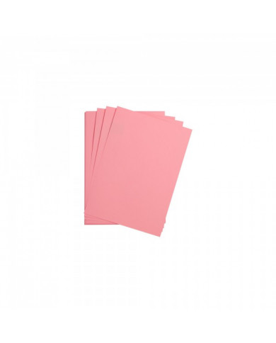 SHOP24-TUNISIE-PAPIER-DESSIN-ROSE-50x65cm SHOP24-TUNISIE-PAPIER-DESSIN-ROSE-50x65cm