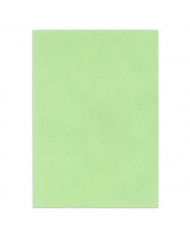 SHOP24-TUNISIE-PAPIER-DESSIN-VERT-POMME-50x65cm SHOP24-TUNISIE-PAPIER-DESSIN-VERT-POMME-50x65cm