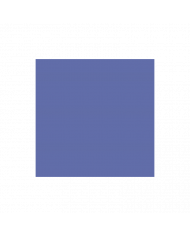 SHOP24-TUNISIE-PAPIER-DESSIN-BLUE-BERRY-50x65cm SHOP24-TUNISIE-PAPIER-DESSIN-BLUE-BERRY-50x65cm